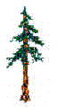 redwood.bmp (43254 bytes)